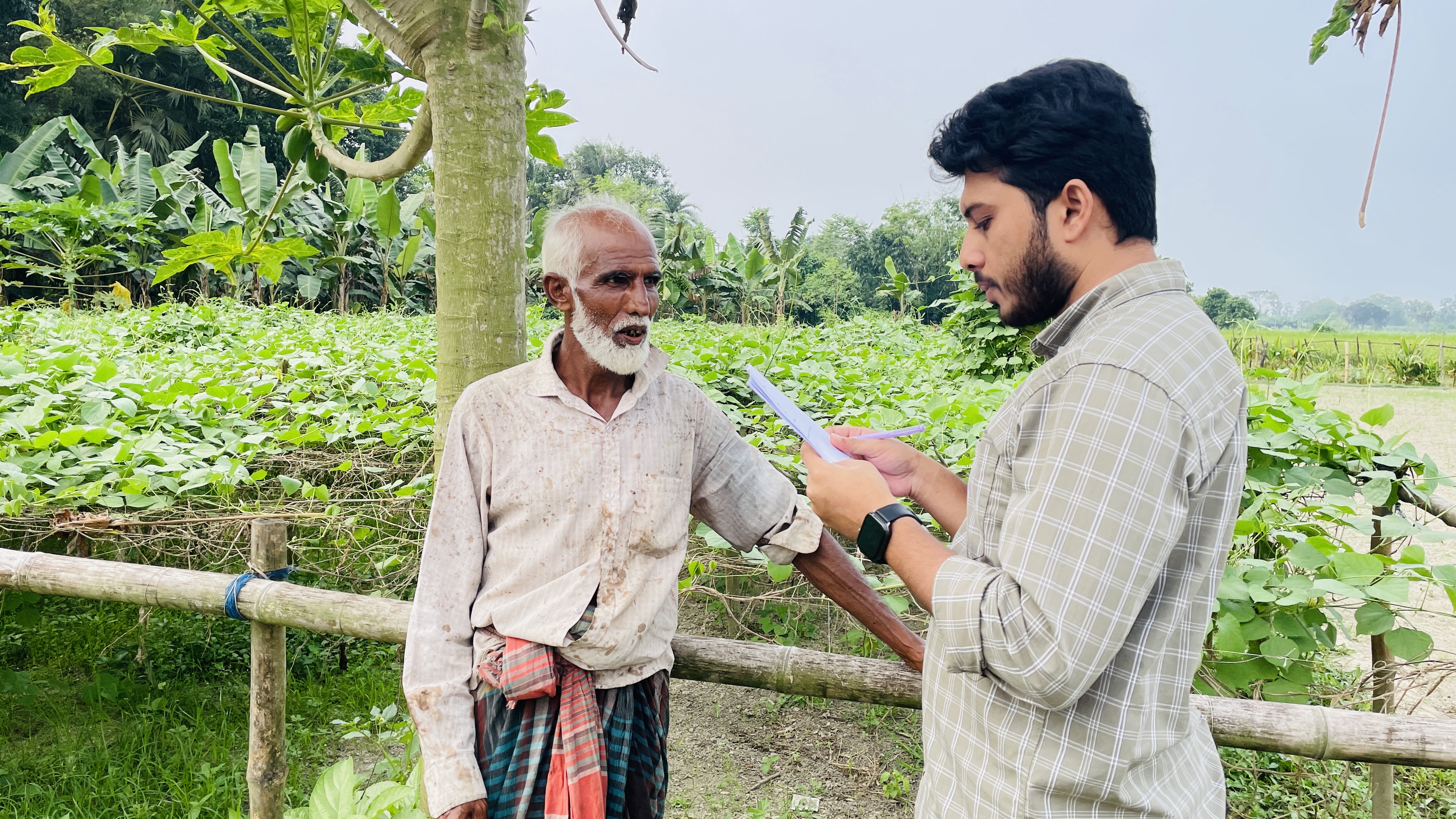 ute Leaf Drinks